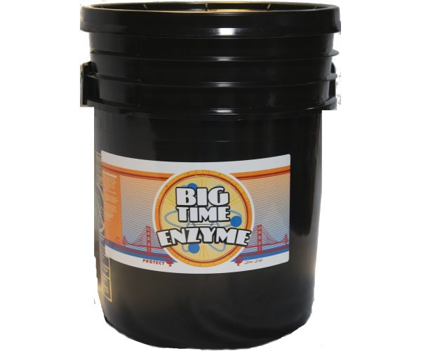 Bte5p 1 - big time enzyme, 5 gal