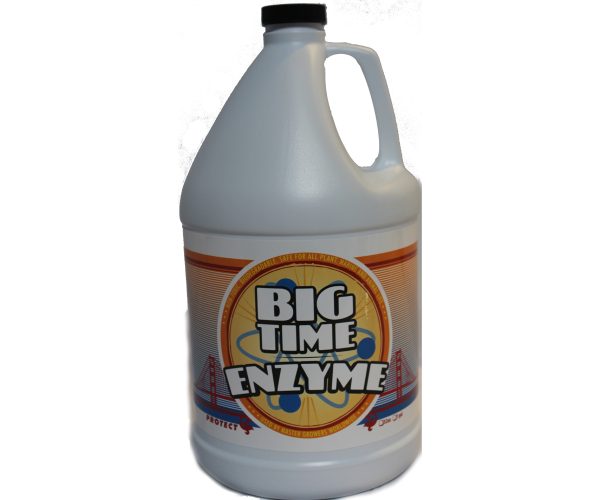 Btegp 1 - big time enzyme, 1 gal