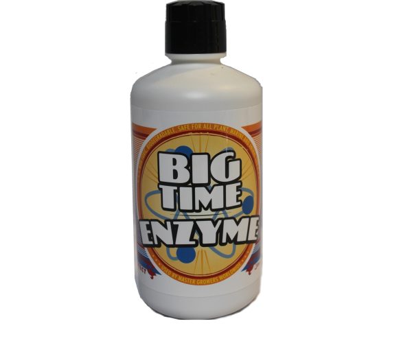 Bteqp 1 - big time enzyme, 1 qt