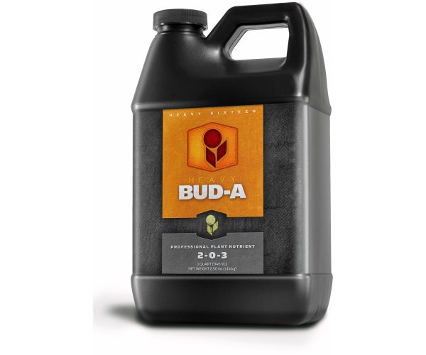 H161001ba1 1 - heavy 16 bud a, 32 oz