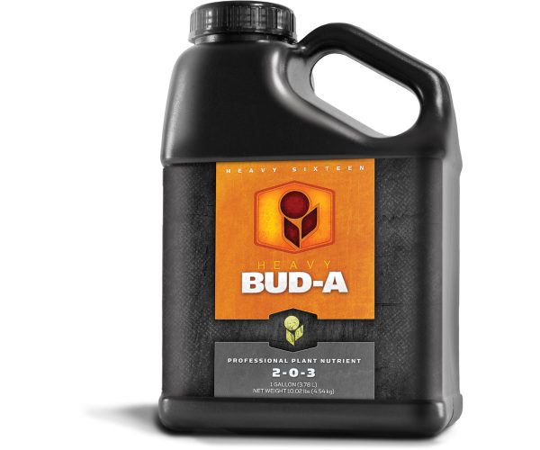 H161003ba4 1 - heavy 16 bud a, 1 gal