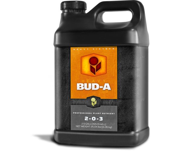 H161005ba10 1 - heavy 16 bud a, 2. 5 gal