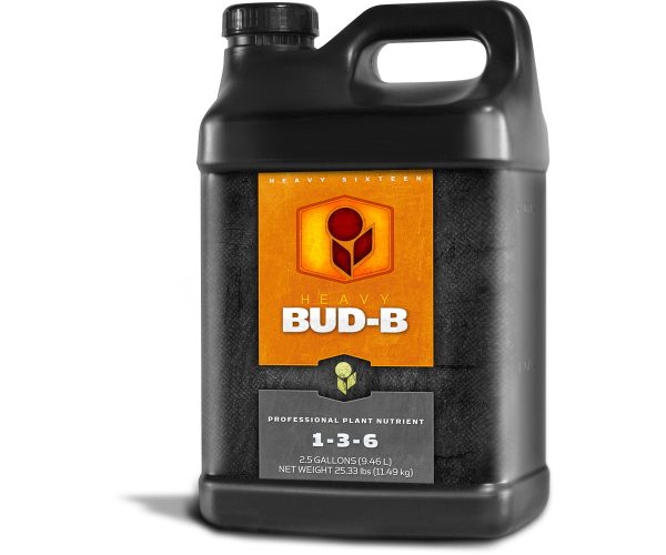 H161006bb10 1 - heavy 16 bud b, 2. 5 gal