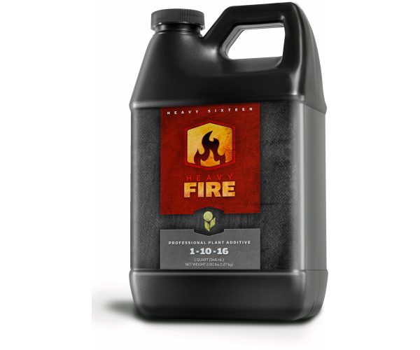 H161038fr1or 1 - heavy 16 fire, 32 oz (or only)