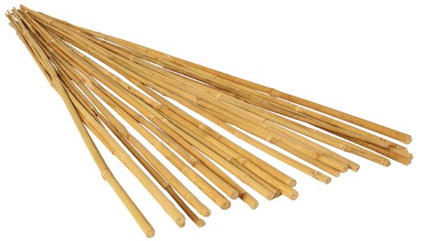 Hgbb3 1 - grow! T 3' bamboo stakes, natural, pack of 25