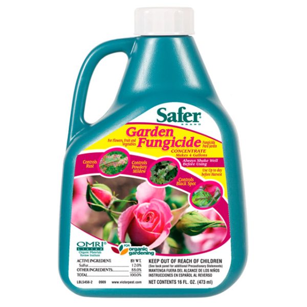Sf5456 1 - safer garden fungicide concentrate, 16 oz