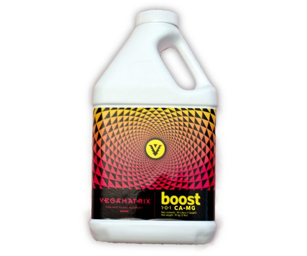 Vx40010 1 - vegamatrix boost, 1 qt